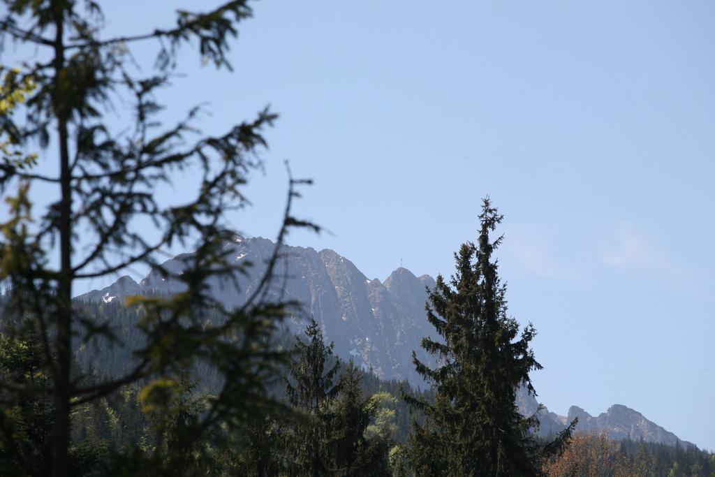 Apartament Glamour I Zakopane Oda fotoğraf