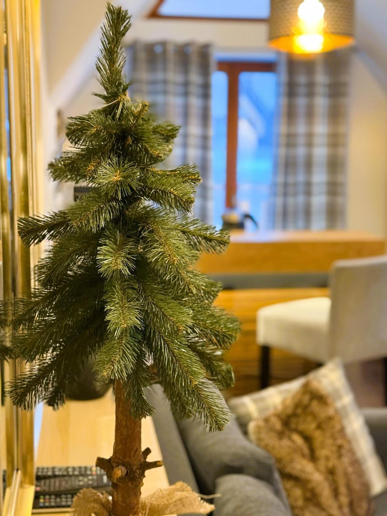 Apartament Glamour I Zakopane Dış mekan fotoğraf