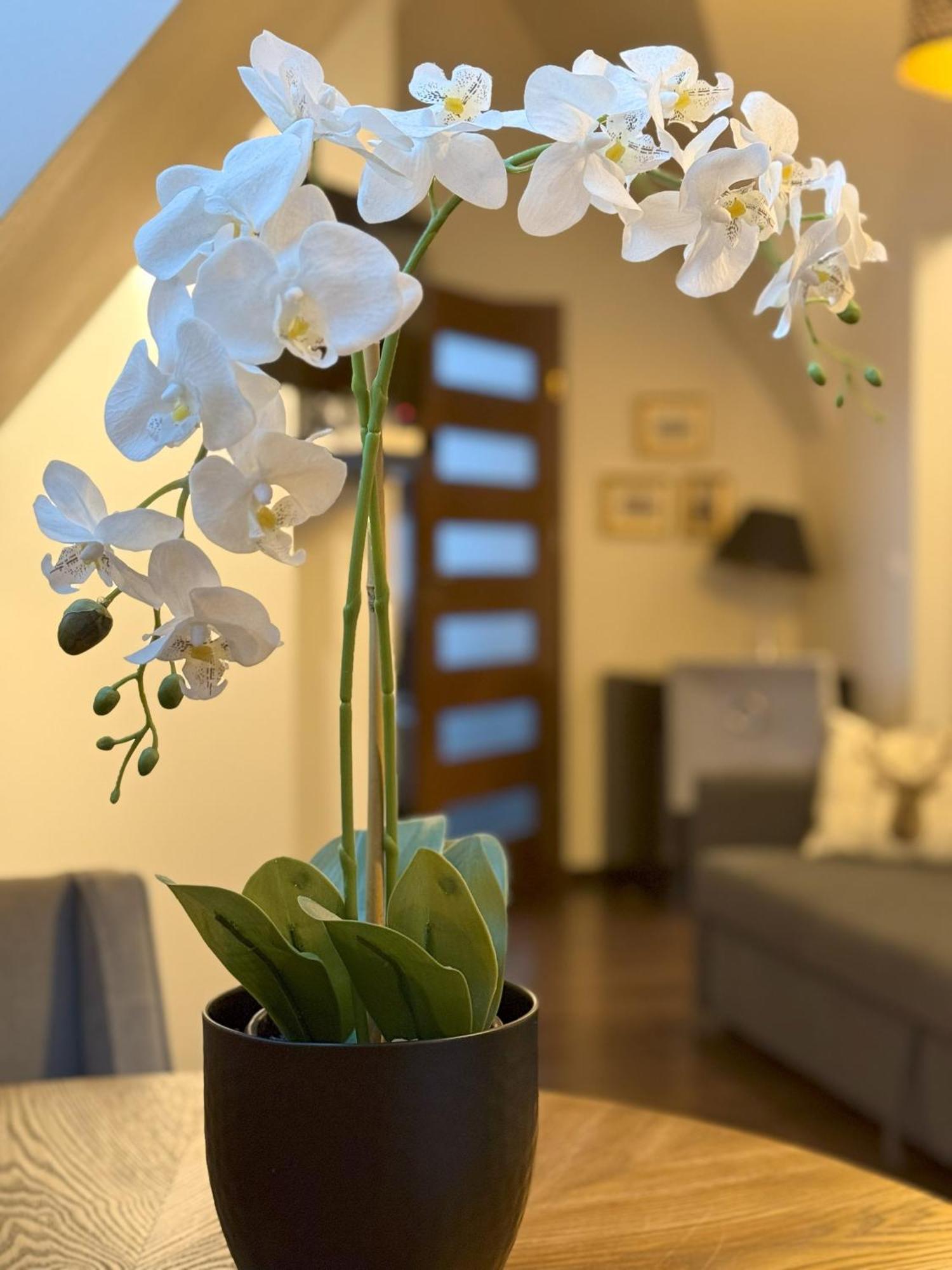 Apartament Glamour I Zakopane Dış mekan fotoğraf